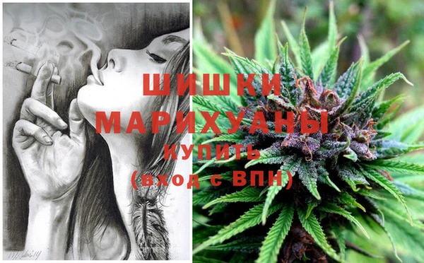 стафф Вуктыл
