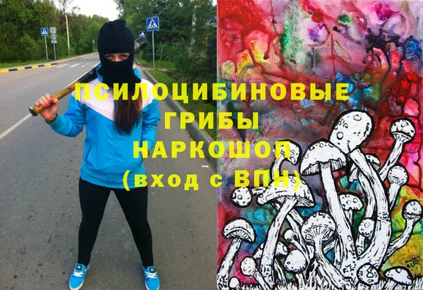 стафф Сатка